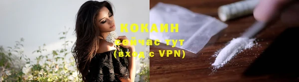 прущий лед Бородино